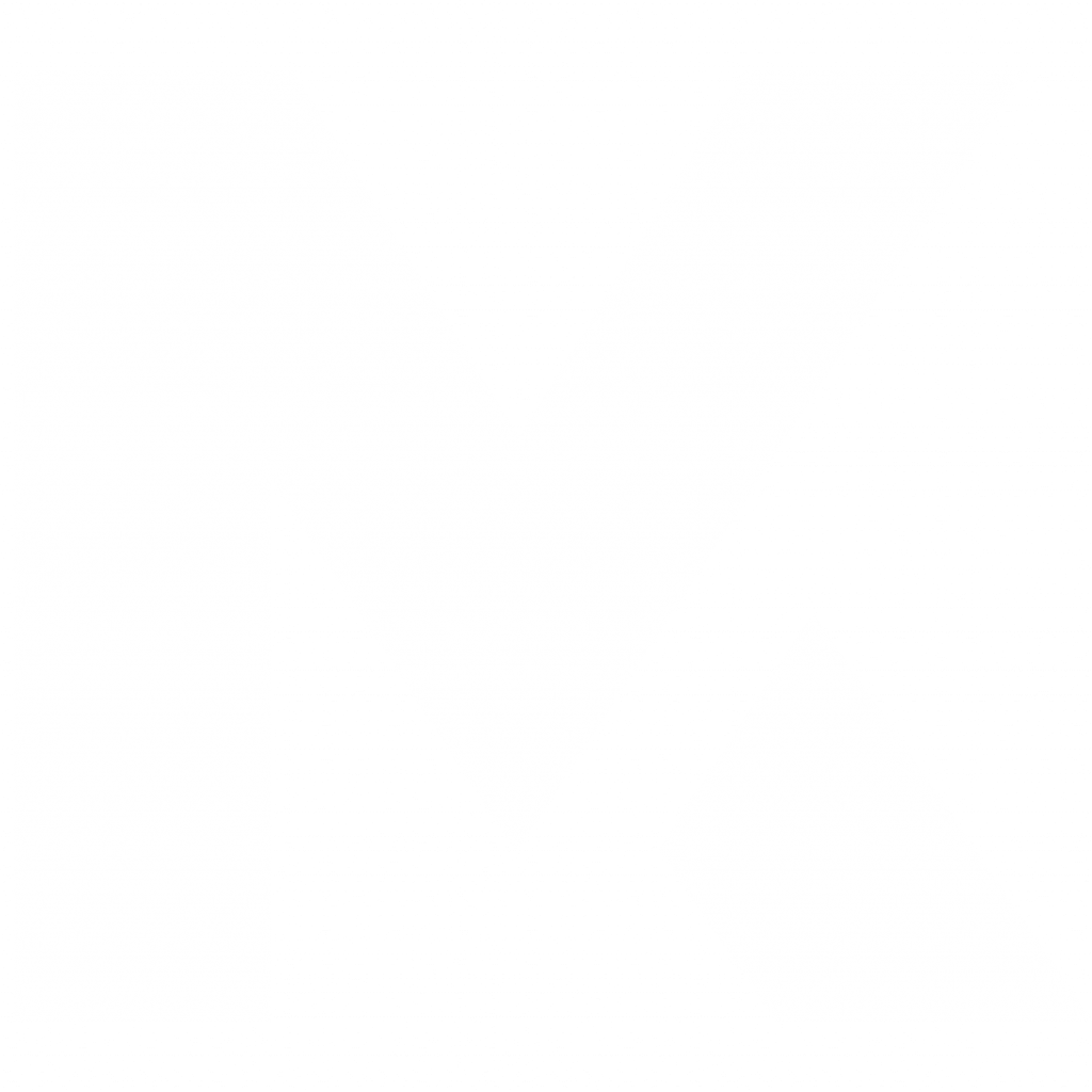 M3DIAKINGS CORP LOGO WHITE